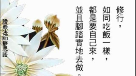 è¯ä¸¥æ³å¸éææ¨è¯­å¨çº¿æ'­æ