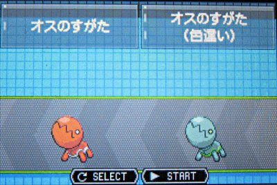 テトのひだまり日記 色違いナックラー