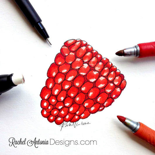 Learn To Draw Realistic Rasberry
