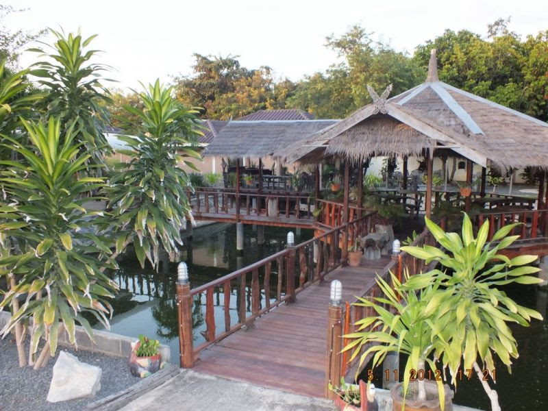 Scp3876 Thai Property