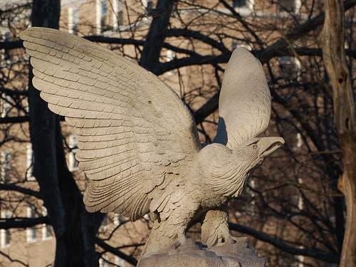 Stone Eagle