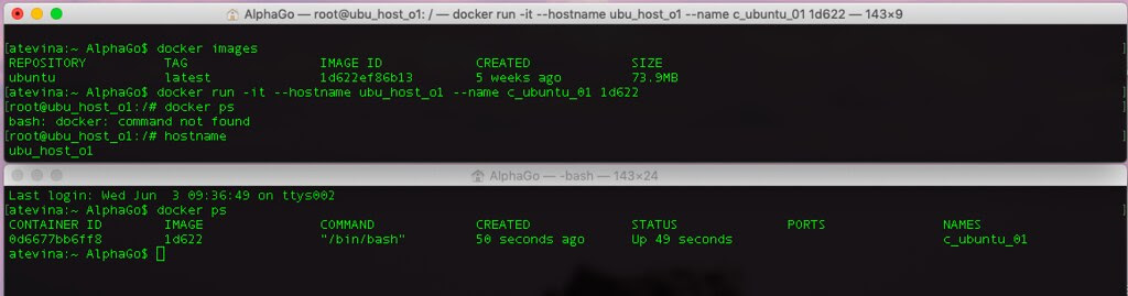 Docker run