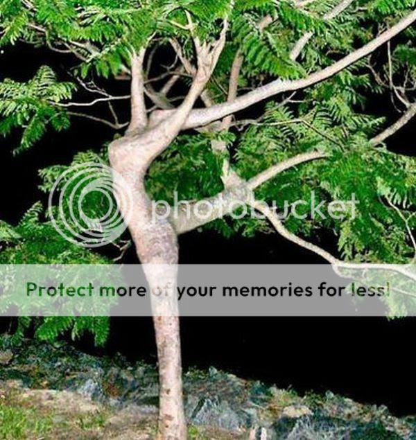 Foto Bugil Yang Tertangkap Kamera