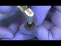 Preformed metal crown – adjustment & fit