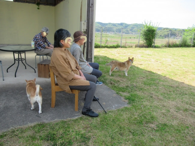 19年05月05日の記事 鳥取のドッグラン 犬猫譲渡会のことならビンチェーロのお知らせブログへ