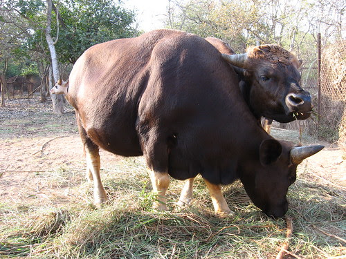 prince william sound earthquake 1964. prince william date of birth