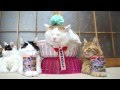 画像 猫 画像 かわいい 誕生日 247202-猫 画像 かわいい 誕生日