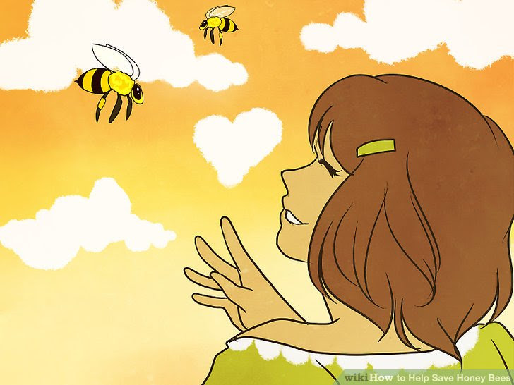 Help Save Honey Bees Step 10.jpg