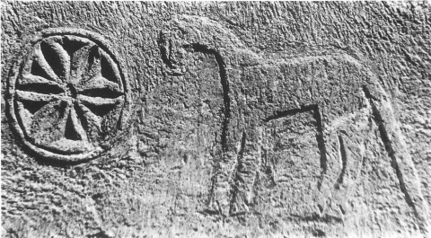 Djedar A ; cheval et rosace hexapétale. Photo F. Kadra