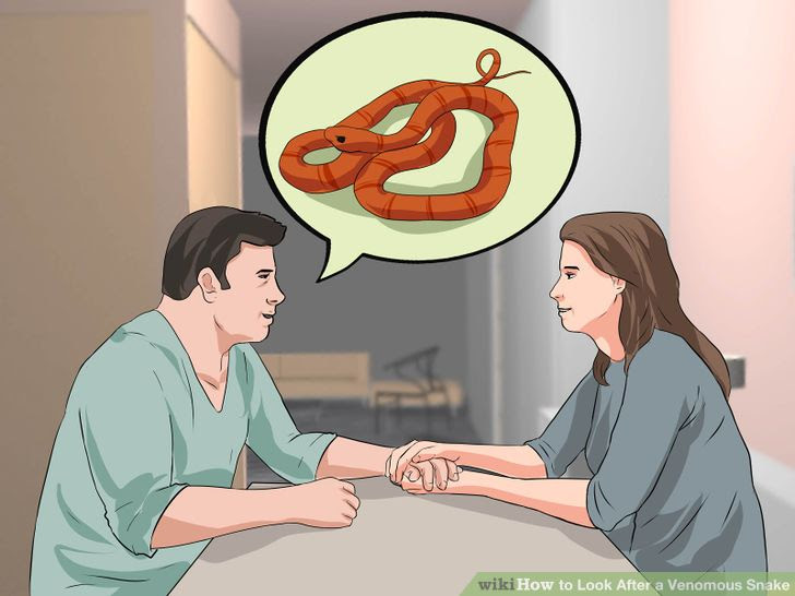 Look After a Venomous Snake Step 2 Version 2.jpg