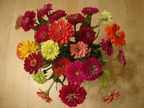 Farmers Market Flowers