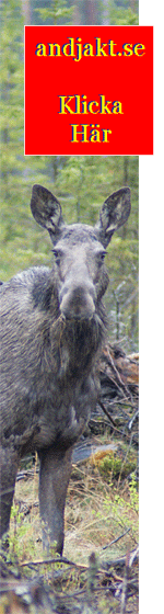 Välkommen till andjakt.se