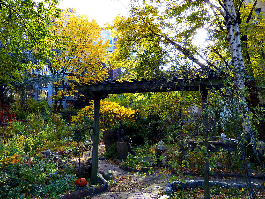 Green Oasis Garden