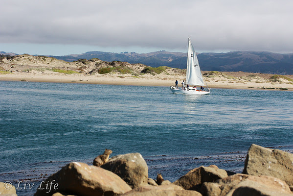 Morro Bay | San Louis Obispo