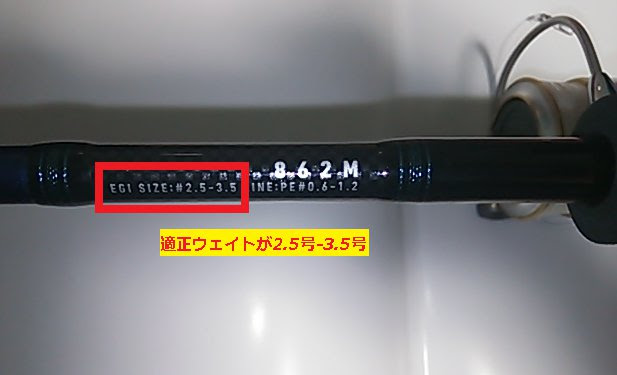 青物も釣れるエギングロッドとは シーバスロッドでもいいかも