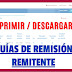 Reimprimir o Descargar una guía de remisión desde el portal Sunat 2023 -...