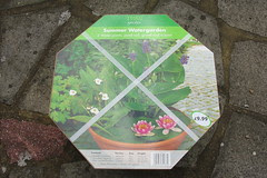 Tesco Summer Watergarden