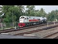 Saat 3 Kereta Api Bertemu: Momen Langka di Stasiun Rewulu
