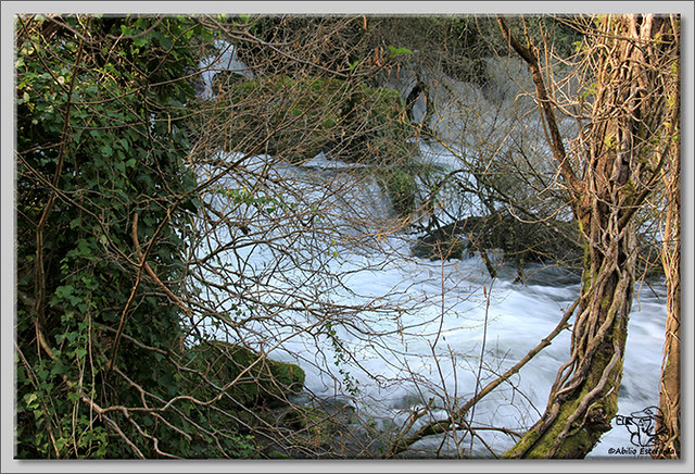 3 Nacimiento del río Cadagua