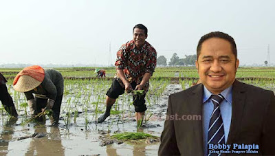 Ambon, Malukupost.com - Menteri Pertanian (Mentan) Amran Sulaiman, berjanji akan memberikan 30 traktor untuk penggarapan lahan jagung di Kabupaten Seram Bagian Timur (SBT). “Untuk mempermudah masyarakat dalam mengelola lahan jagung, maka saya akan memberikan 30 traktor,”ujar Kepala Bagian Humas, Biro Umum Pemprov Maluku, Boby Palapia sesuai apa yang disampaikan Mentan dalam kunjungannya di Seram Utara dan SBT. Dijelaskan Palapia, lahan yang dipersiapkan untuk penanaman jagung mencapai 50 hektar, dan anggarannya akan di usulkan di tahun 2017 mendatang. “Usai meninjau lahan sawah baru di seram utara, kabupaten Maluku Tengah dan lahan jagung di Kabupaten SBT, Mentan didampingi Gubernur Ir. Said Assagaff, Pangdam XVI Pattimura Doni Monardo beserta rombongan, bertolak kembali ke Ambon menggunakan pesawat air fast,” ungkap Palapia di Ambon, Kamis (15/9) Palapia menambahkan, sesampai di Ambon, Mentan beserta rombongan kemudian meninjau balai perikanan waiheru. Setelah itu, pukul 15.00 WIT, Mentan beserta rombongan take off menuju Jakarta menggunakan pesawat garuda GA 647. (MP-7) 