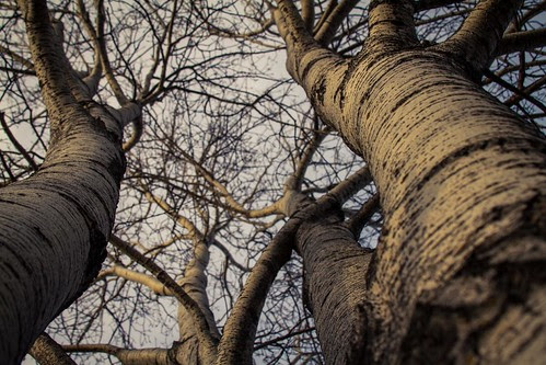 Photo by Donovan Happyjack