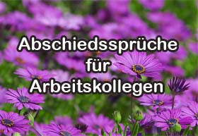 sprüche leben genießen englisch