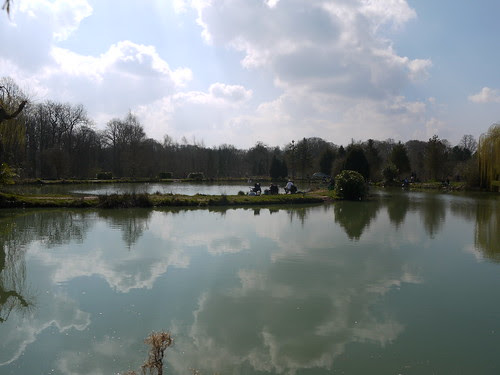 Pond Life