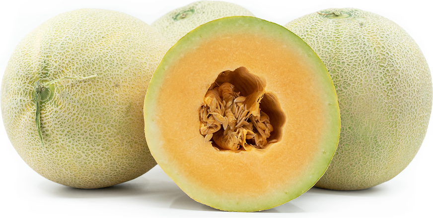 Sugar Kiss Melon Information And Facts