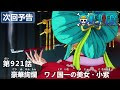 One piece 和の国 声優 805628-One piece 和の国 声優
