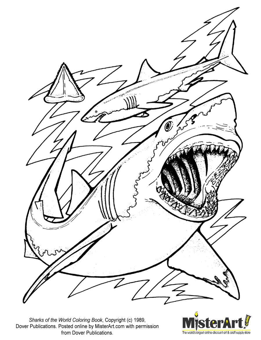 Free Coloring Page: Sharks of the World Coloring Book, Download Free