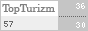 TopTurizm