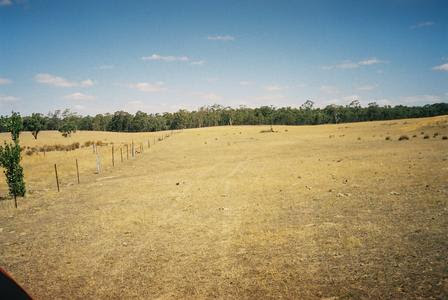 leaving our land looking along east boundary to the south, with dam wall starting on the right