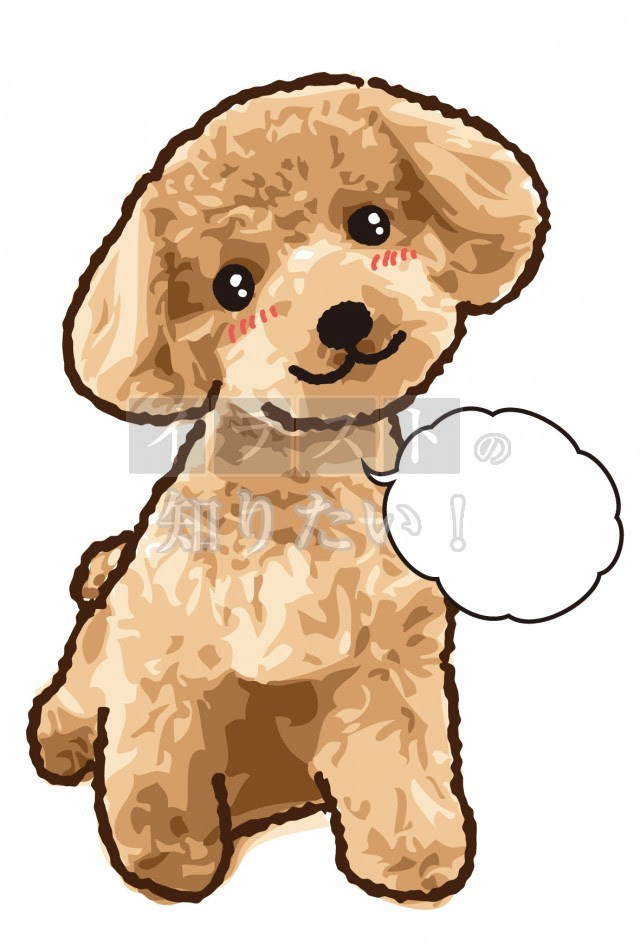 いろいろ イラスト トイ プードル 壁紙 最高の新しい壁紙aahd