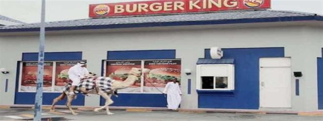 صور و فيديو : قطرى يطلب برجر على متن جمل