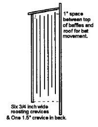 27 Bat House Plans: Bat Nurseries, Bat Rocket Boxes, Bird + Bat Boxes 