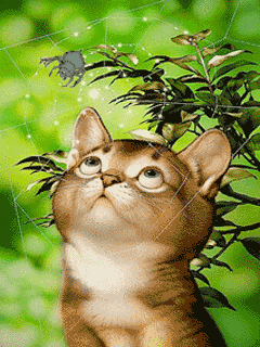 久しぶりの更新です お気楽日和