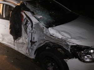 Motociclista não resistiu aos ferimentos após bater contra um carro na PR-323 (Foto: Arquivo Pessoal/Giovane Ropelli)