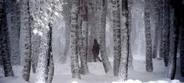 Nieve