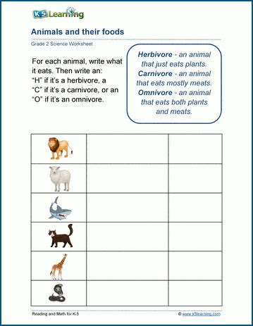  animals food worksheets k5 learning
