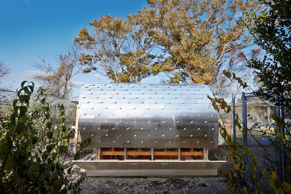 Hamptons Chickens Get a Modern Coop by ARO Architects - NYTimes.com