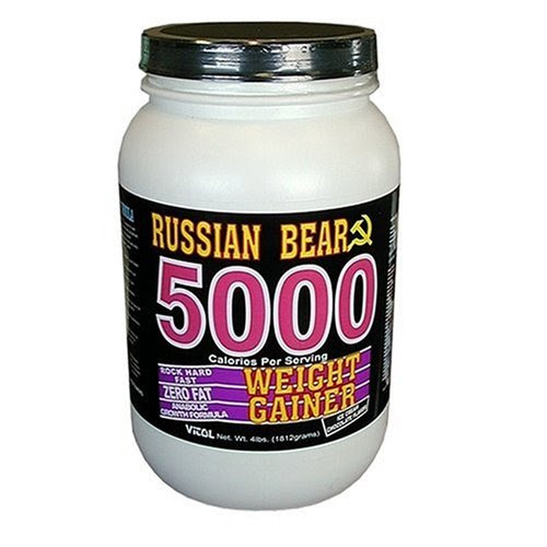 Vitol Russian Bear 5000, Ice Cream Chocolate 4-Pounds