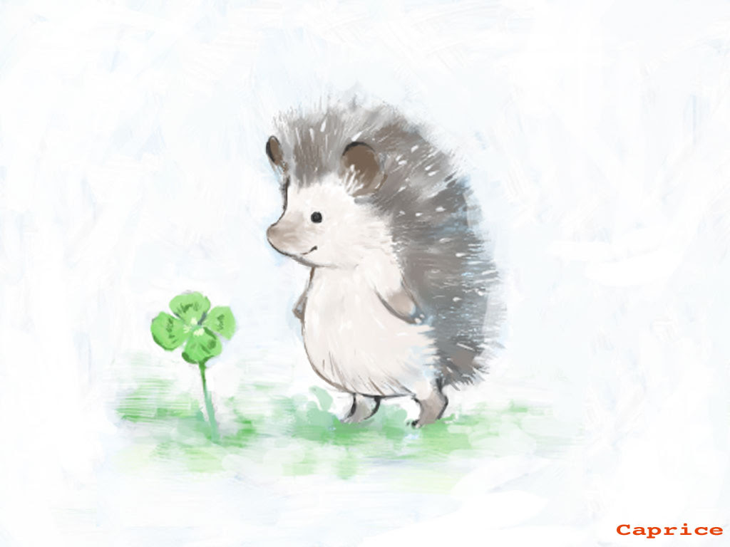 Caprice ハリネズミ壁紙