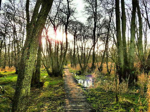 Mugdock Country Park