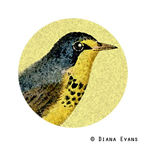 vintage bird2