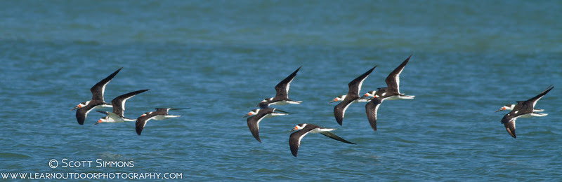 Fort De Soto Fort De Soto