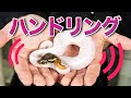 200以上 ボール パイソン 病気 271777