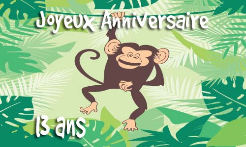 Carte Anniversaire Humour 13 Ans Virtuelle Gratuite A Imprimer