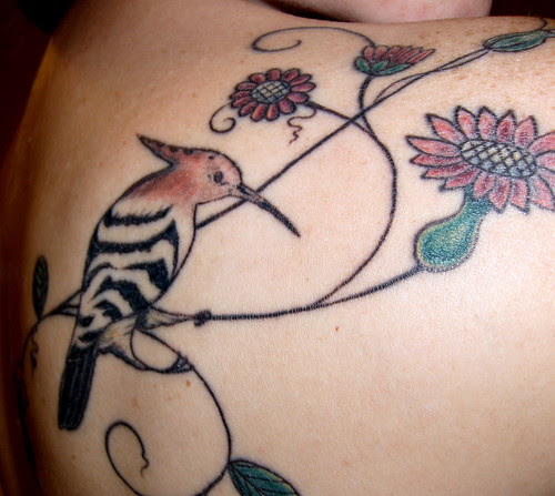 Hoopoe tattoo · Medieval tattoo