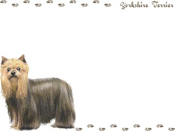 ヨークシャー テリア ヨーキーのイラスト 条件付フリー素材集