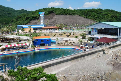 志布志湾大黒イルカランド